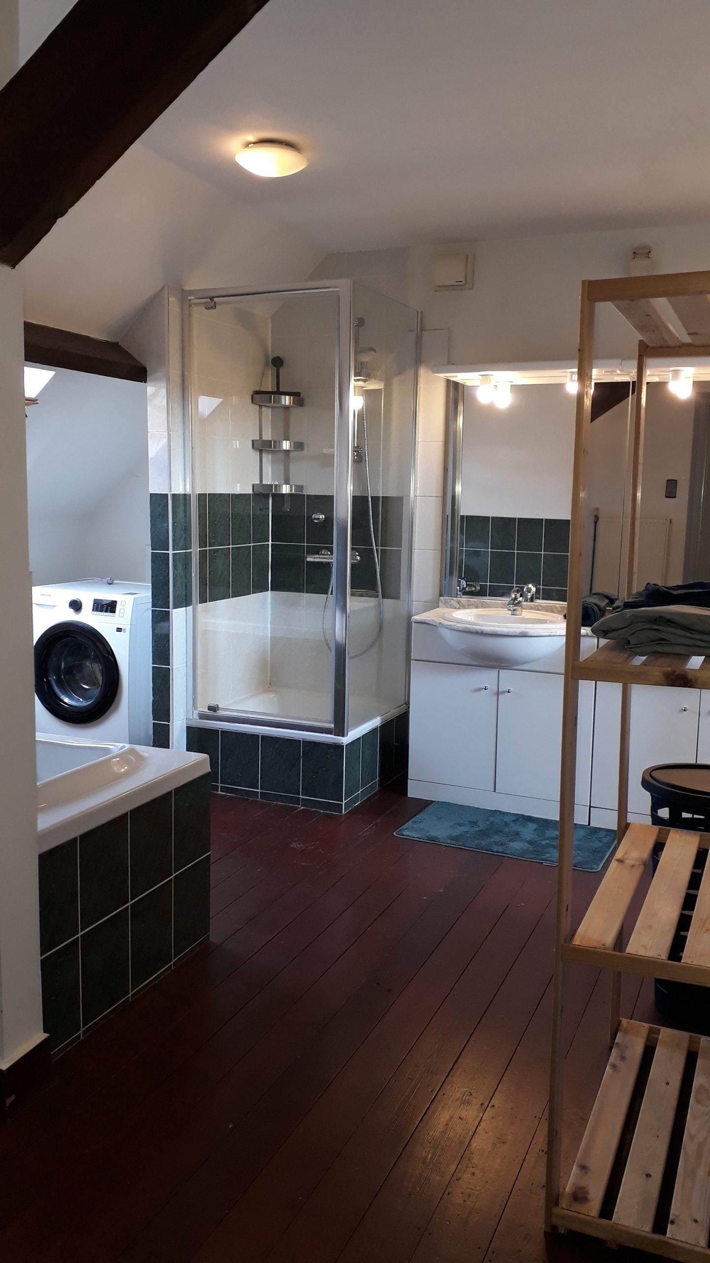apartment for rent in Ghent -bathroom