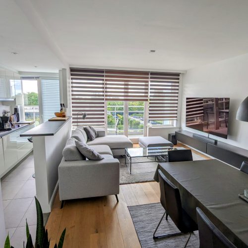 apartment-for-rent-in-Antwerp-livingroom