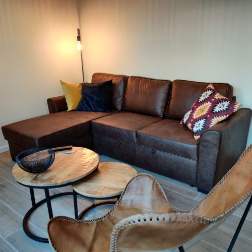 apartment-for-rent-in-gent-livingroom