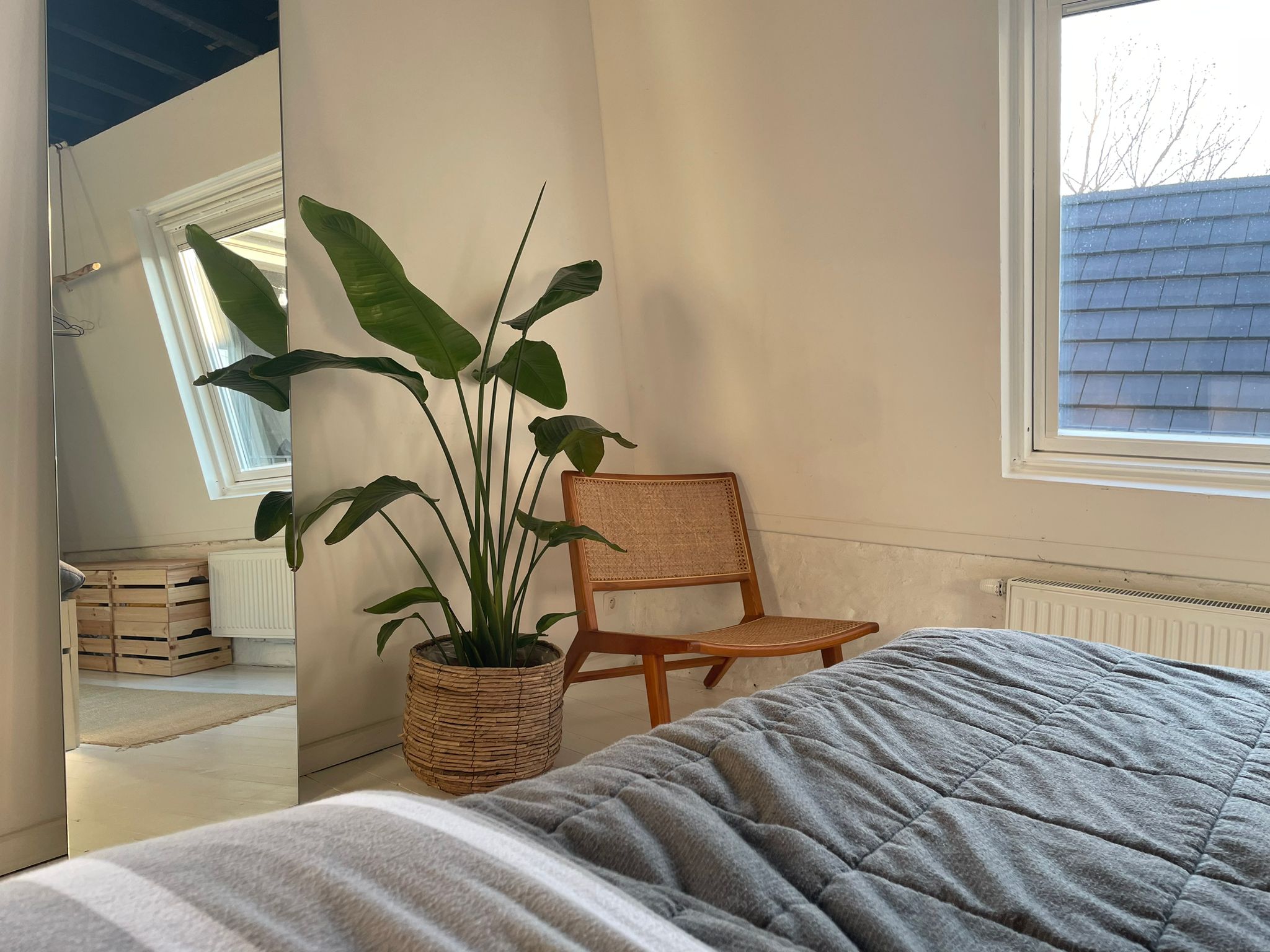 apartmemnt-for-rent-in-antwerp-bedroom