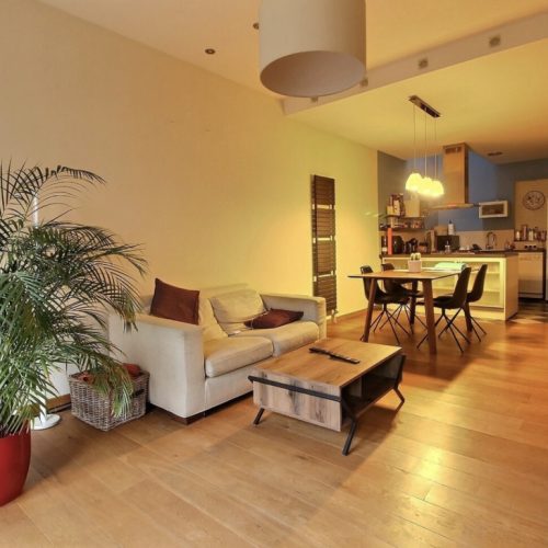 apartment-for-rent-in-bruxelles-livingroom