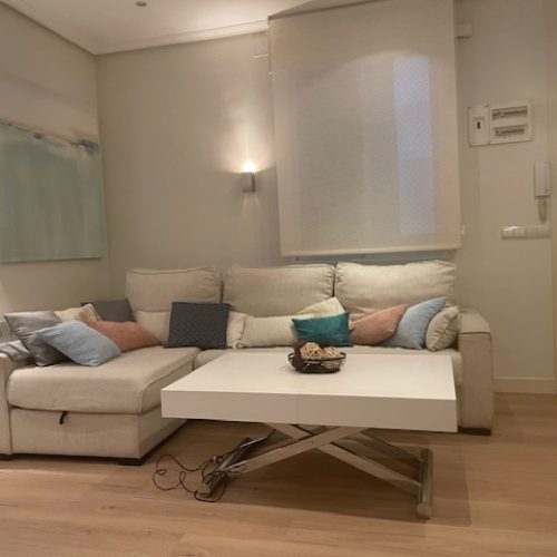 Mendizabal - Studio for rent in Madrid living room 1