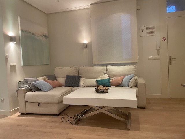 Mendizabal - Studio for rent in Madrid living room 1