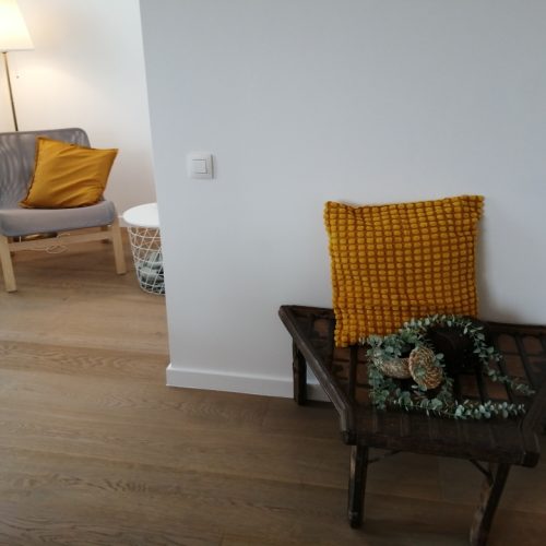 apartment-for-rent-in-wilrijk-livingroom